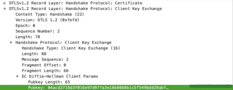 WebRTC 传输安全机制：DTLS 和 SRTP
