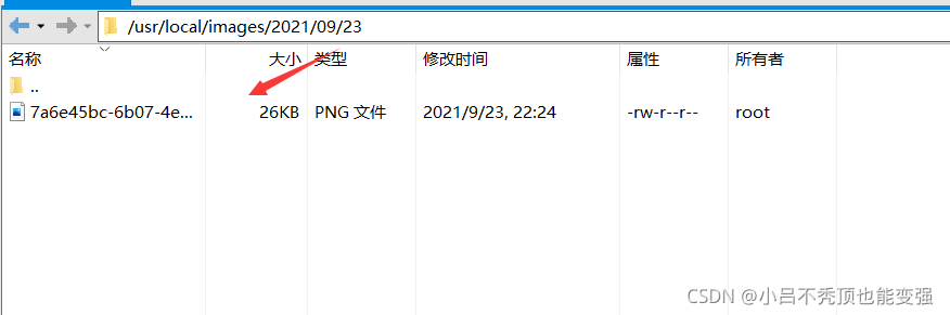 在这里插入图片描述