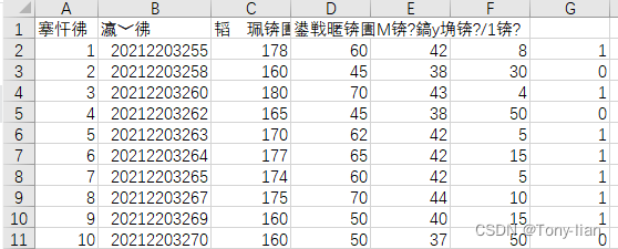 csv数据在excel中显示的内容