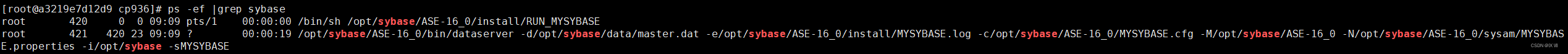 Docker Sybase修改中文编码