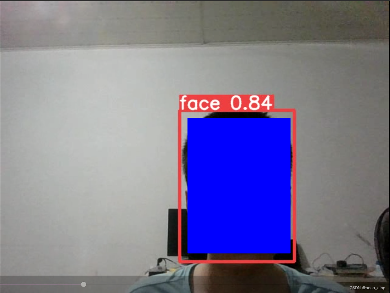 用yolov5做人脸检测