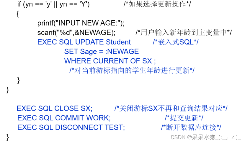 【数据库复习】第五章 数据库编程1