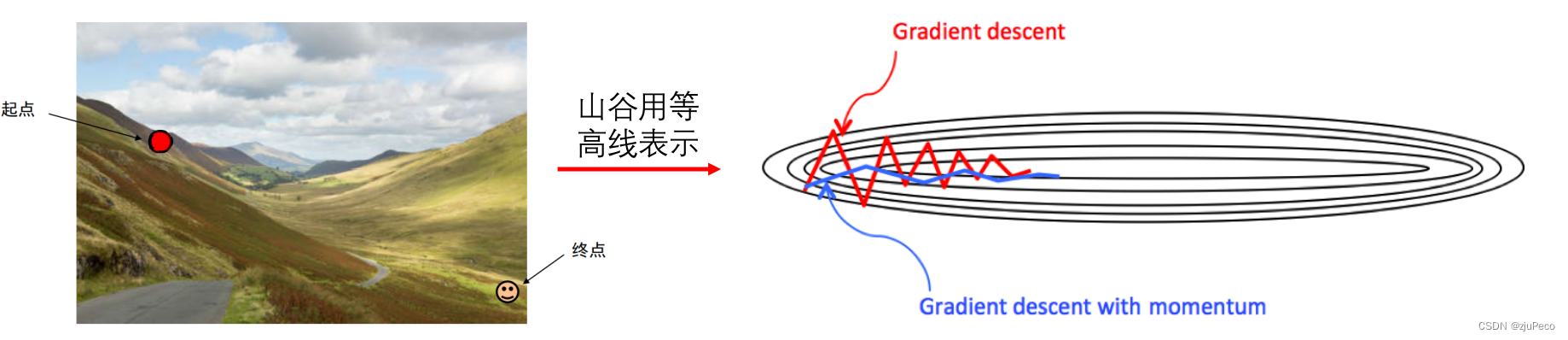 普通梯度下降与动量法示意图