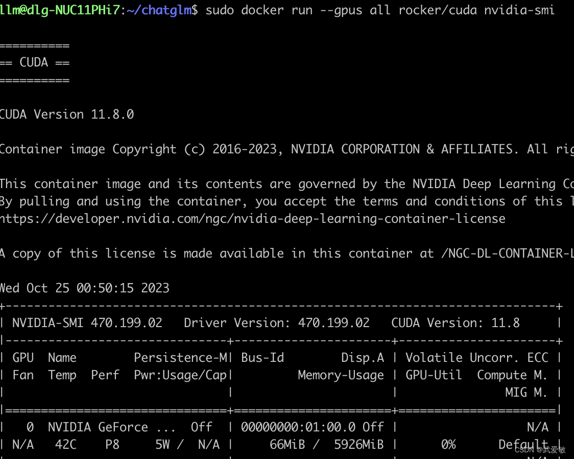 Use nvidia card in docker