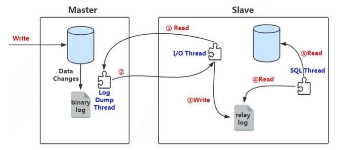 Mysql 主从同步详解