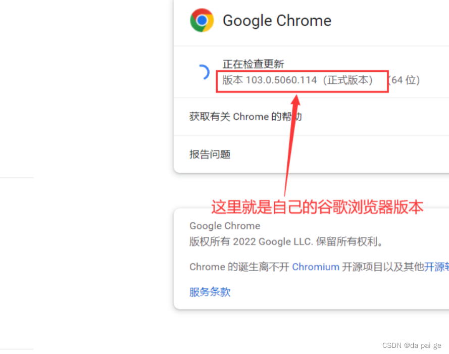 java环境的selenium搭建_java 1.8 selenium chrome-CSDN博客