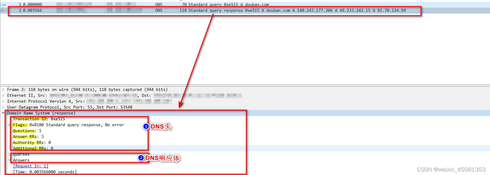 DNS报文在wk里展示情况