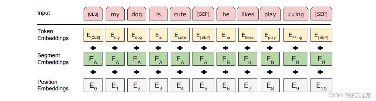 BERT Embeddings