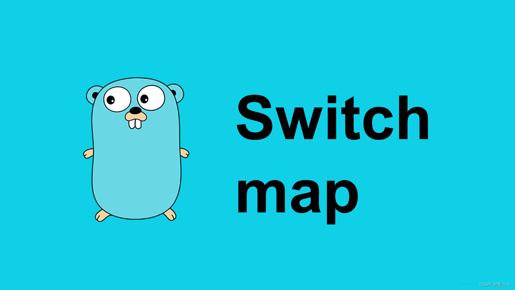 go语言教程4：switch和map