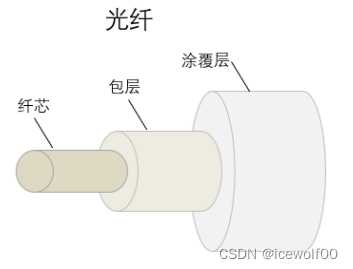 光纤组成