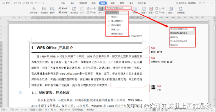 WPS Office 2019 for Linux(WPS 2019 文字操作指引)-CSDN博客