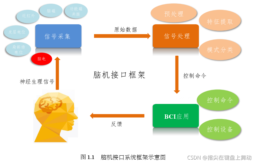 图1.1 脑机接口系统框架示意图