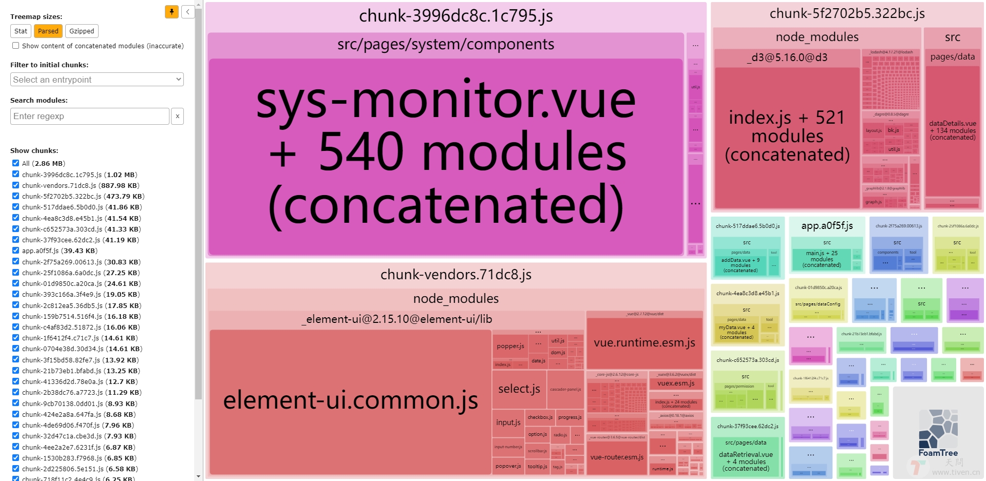 Vue BundleAnalyzer Report