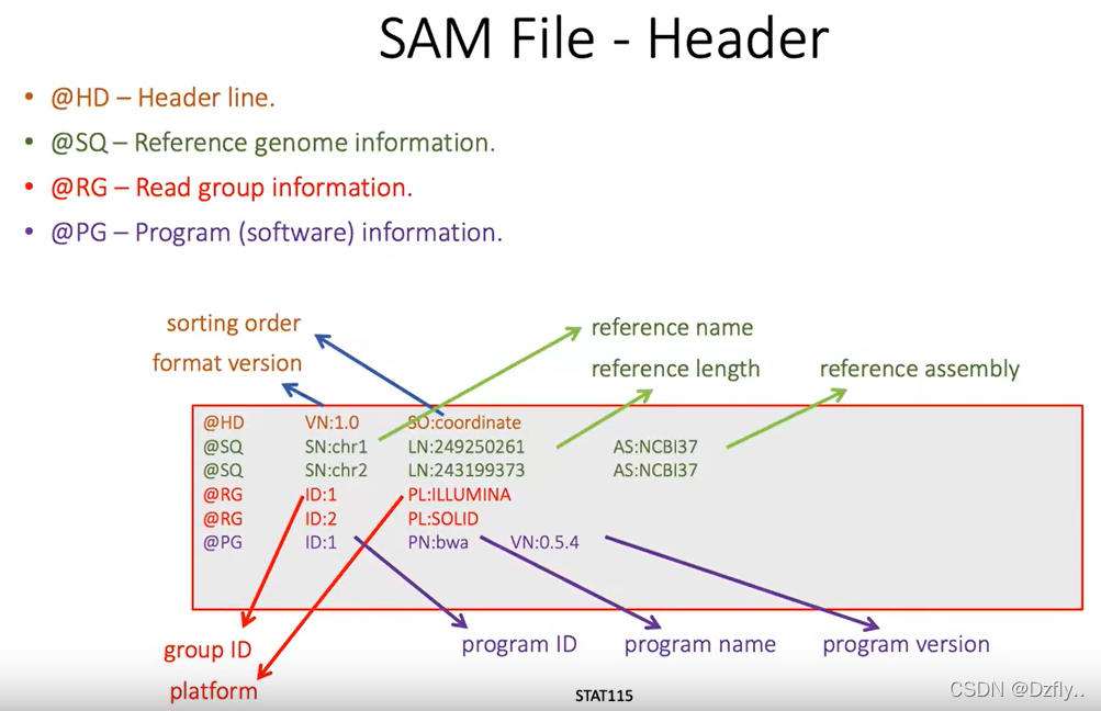 生信学习——sam和bam格式文件的shell小练习(附详细答案解读)-CSDN博客