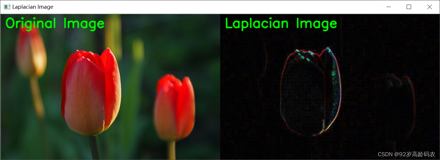 Laplacian Image