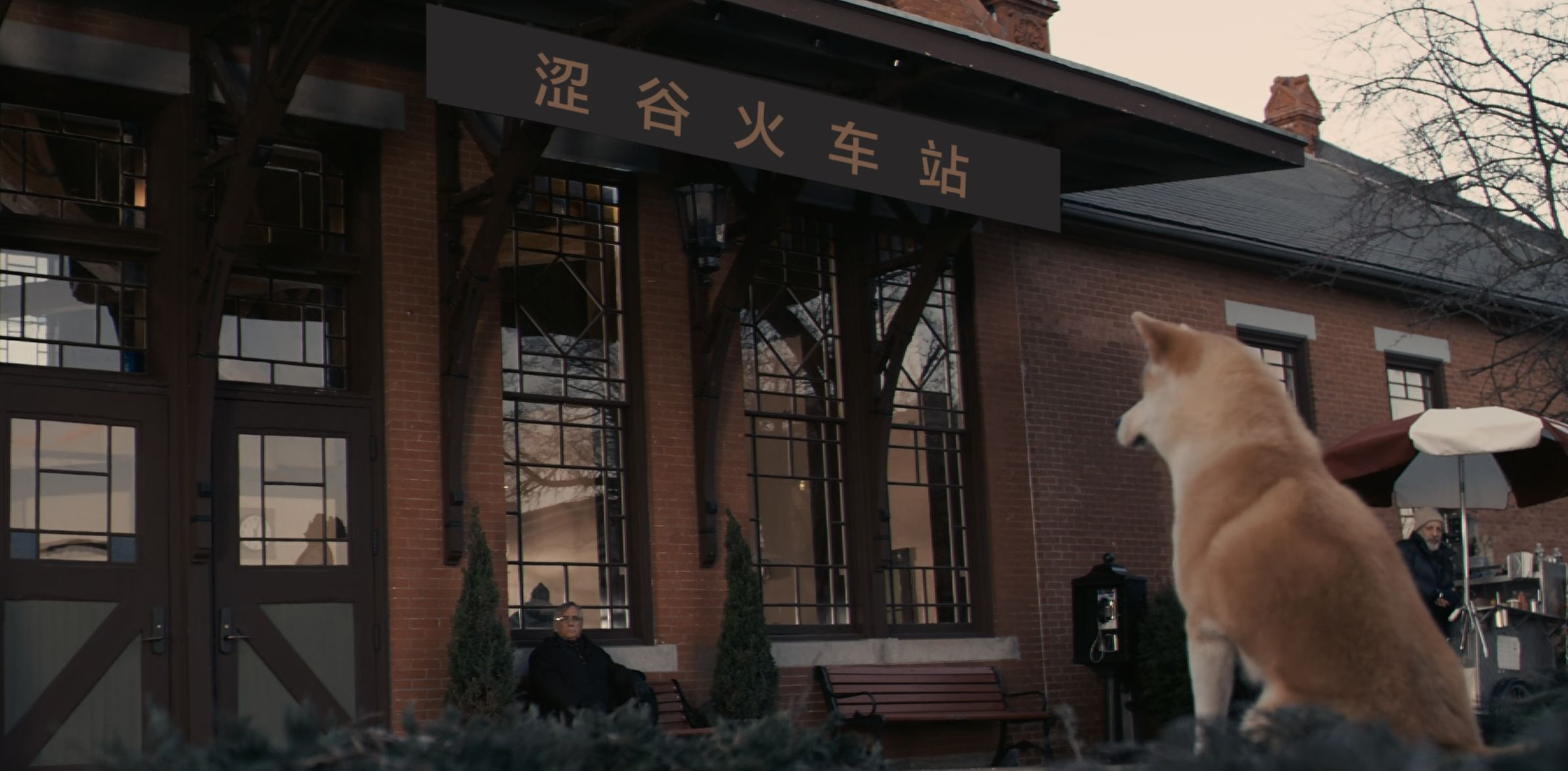 忠犬八公的故事