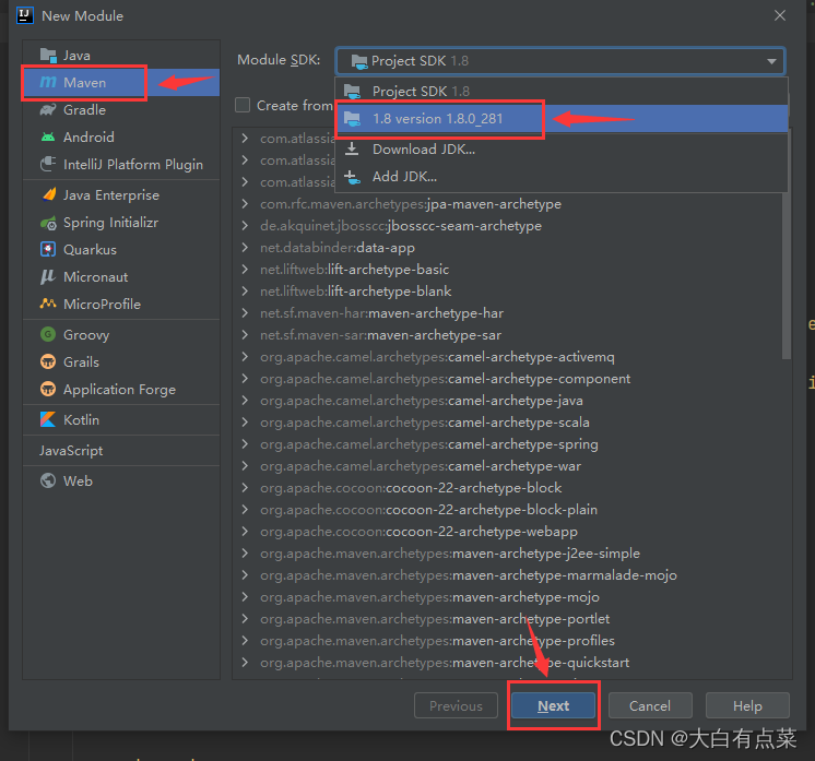 选择“Maven”项目，“Module SDK”选择本机安装的 JDK8（例如 jdk 1.8.0_281），点“Next”下一步。