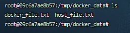 docker_ddata目录