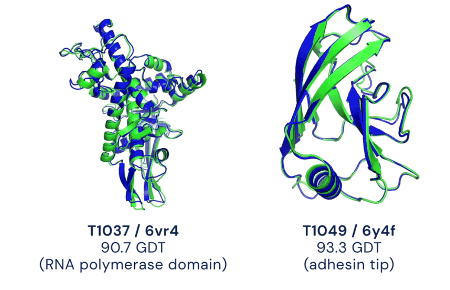 Figure 1 AlphaFold, for protein structure prediction