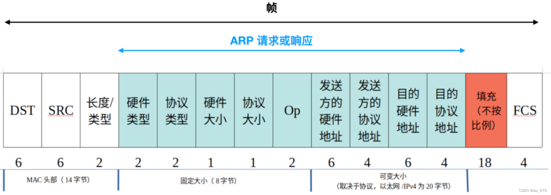 ARP协议（地址解析协议）