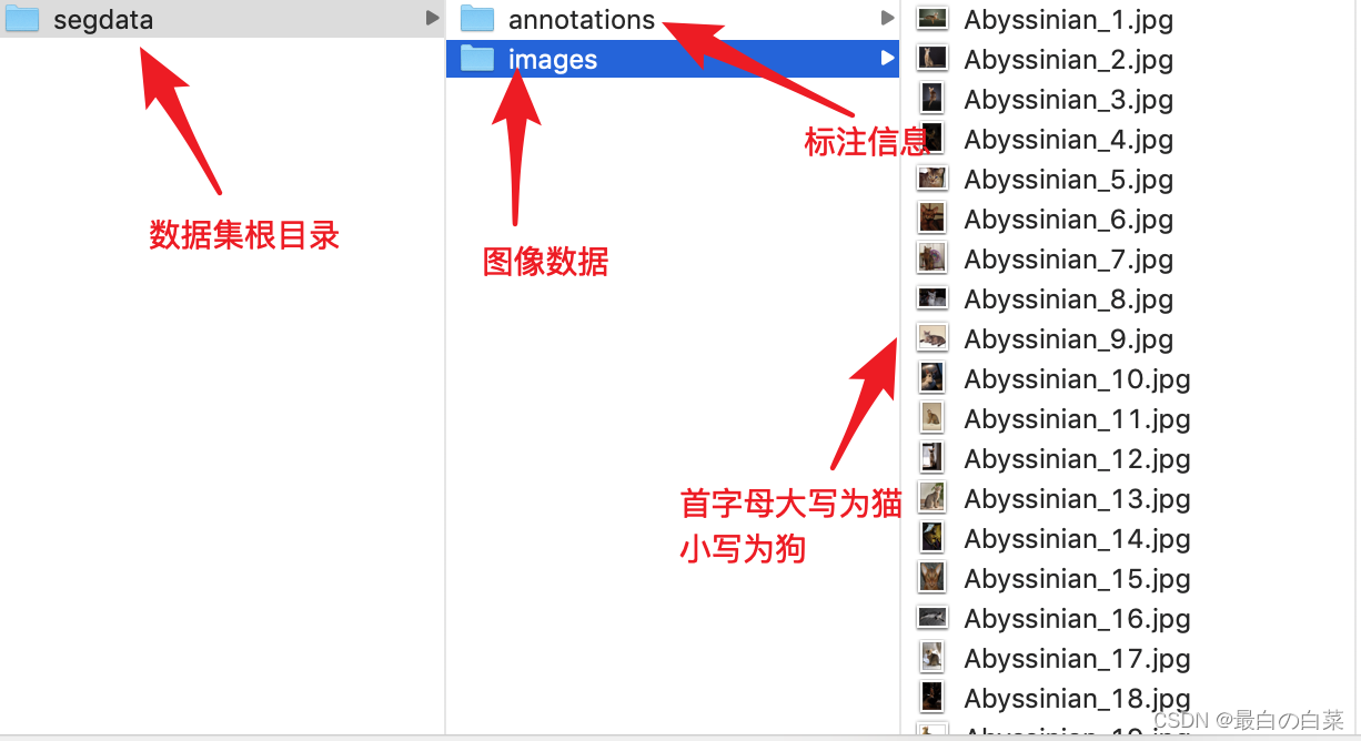 [外链图片转存失败,源站可能有防盗链机制,建议将图片保存下来直接上传(img-eKJHib71-1646549912727)(笔记图片/image-20201012113348435.png)]