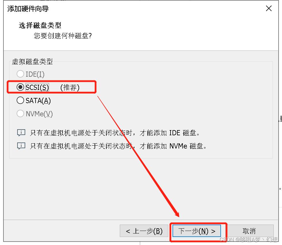 选择磁盘类型: SCSI