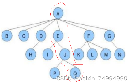 树的基本介绍及二叉树的相关知识-CSDN博客