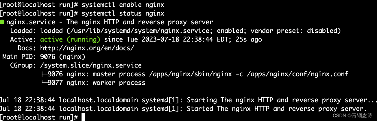 Linux 安装 nginx