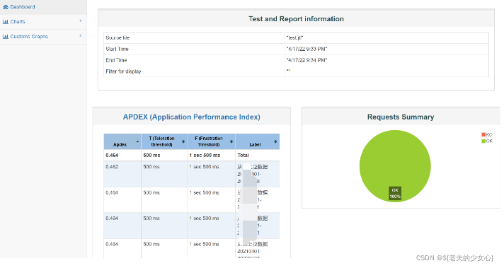 performance test report