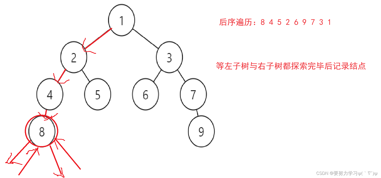 二叉树链式结构基础