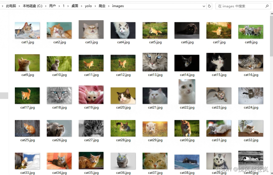 猫12分类：使用多线程爬取图片的Python程序