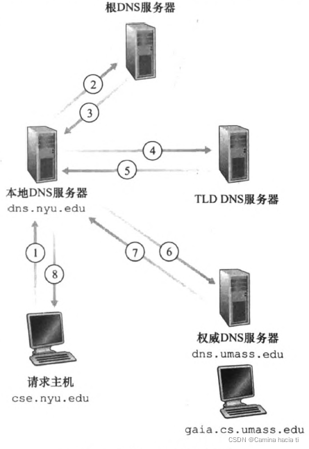 DNS