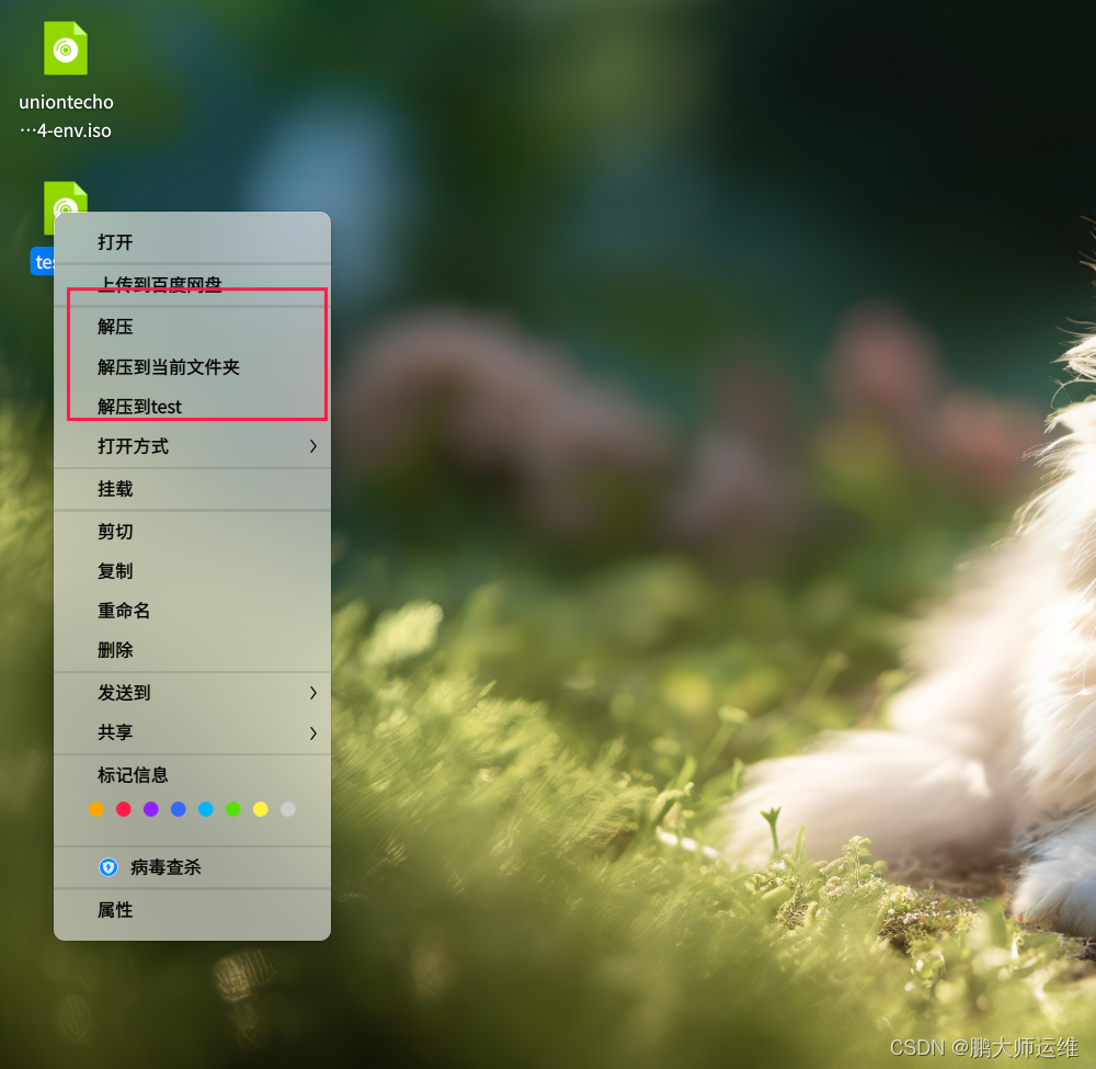 在这里插入图片描述