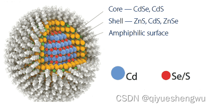 N-羟基琥珀酰亚胺化PbS/CdS硫化铅/硫化镉量子点,CdS/ZnS硫化镉/硫化锌量子点