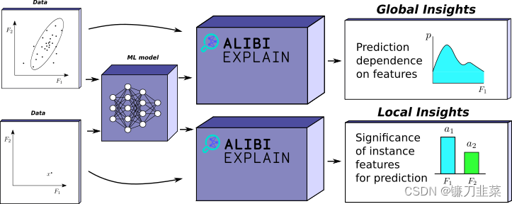 Clobal Insights vs Local Insights