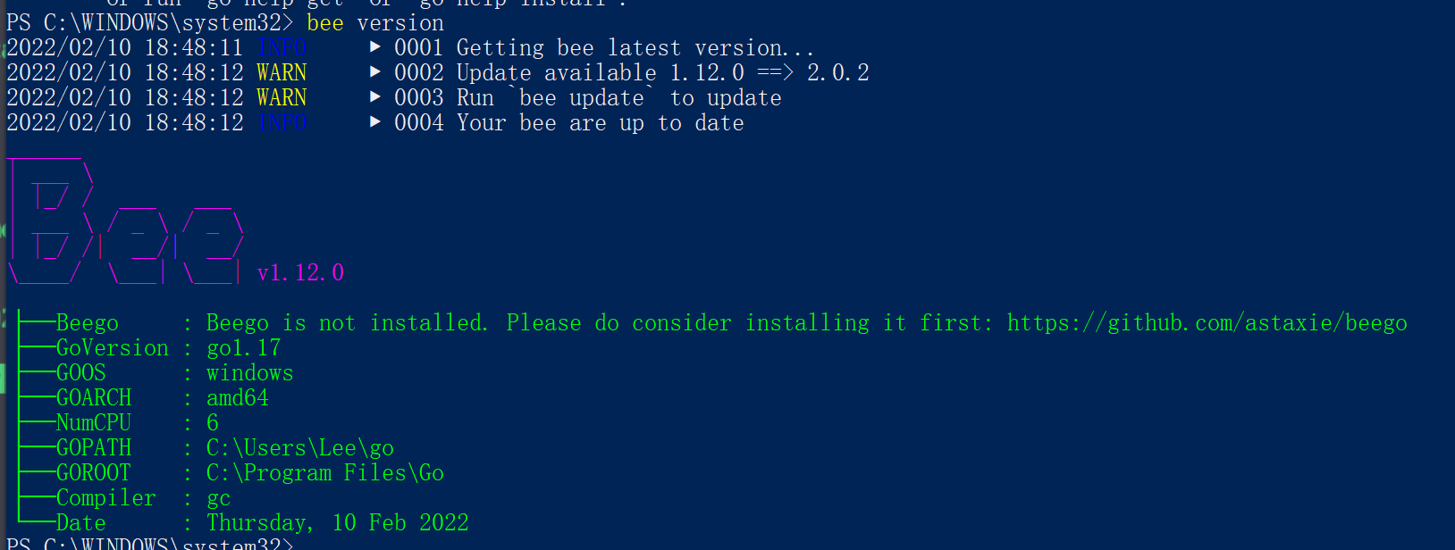 windows10下GO的beego之bee 工具安装_go 1.21 安装beego-CSDN博客