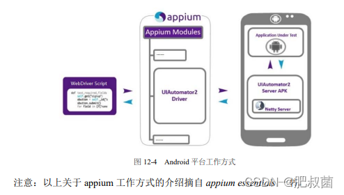 Selenium和appium简介_appium和selenium区别-CSDN博客