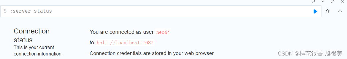 No connection found, did you connect to Neo4j?