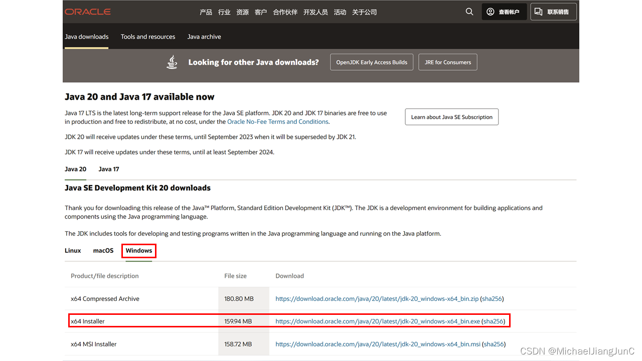 Java 20在Windows 11下的简易安装教程