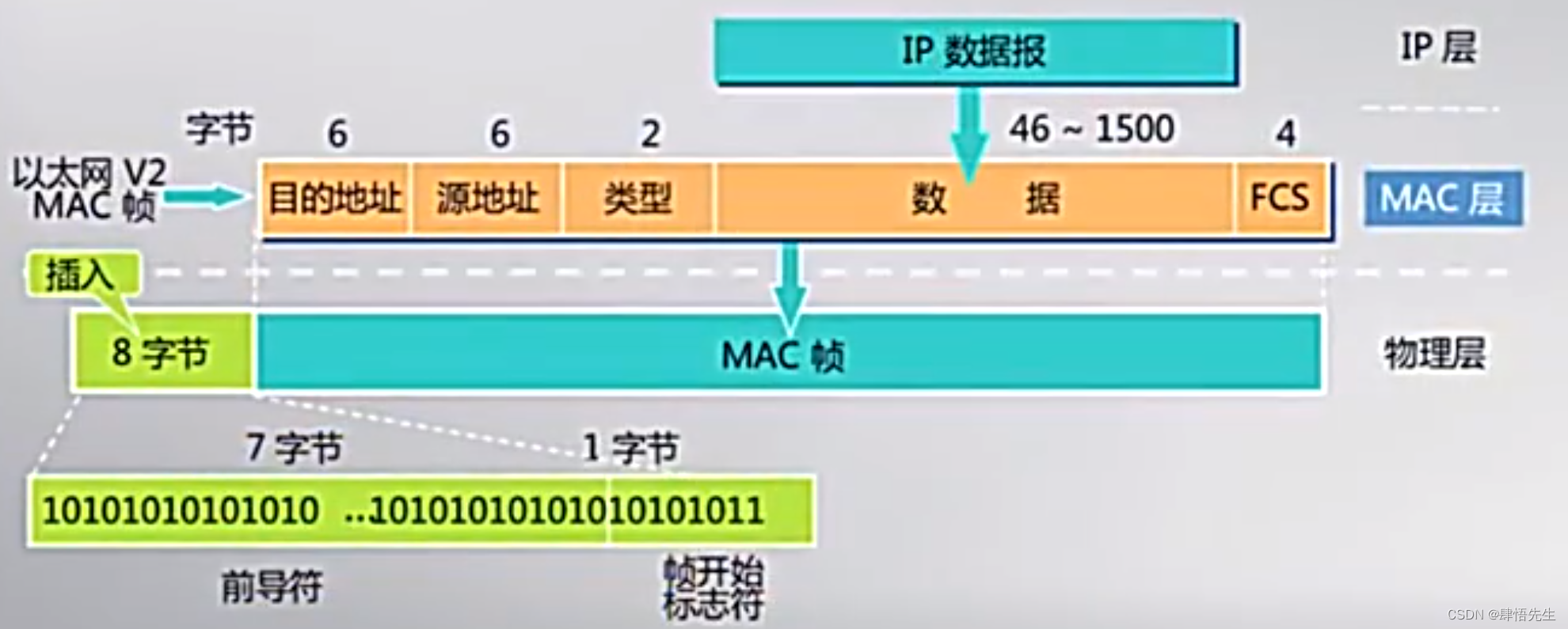 MAC地址