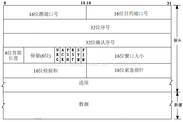 TCP报文