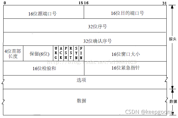 TCP报文