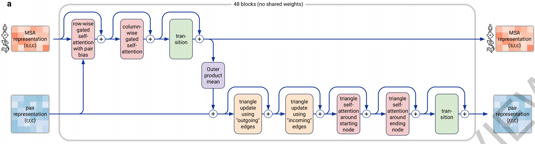 Evoformer block