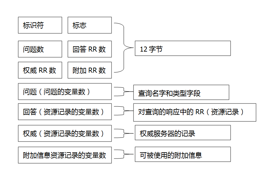 计算机网络自顶向下-应用层