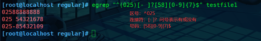 shell编程中十分重要的正则表达式（你若决定灿烂，山无遮，海无拦）