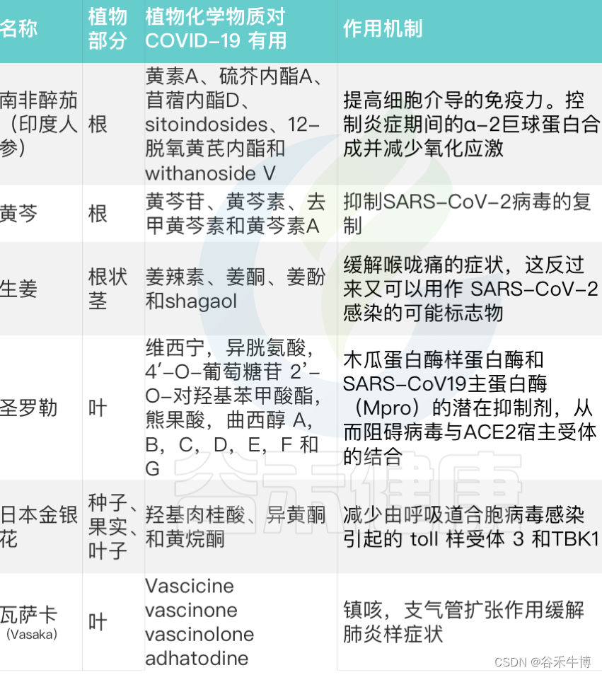 阳康后是否二次感染，长新冠与肠道菌群的关联，多种潜在的干预措施