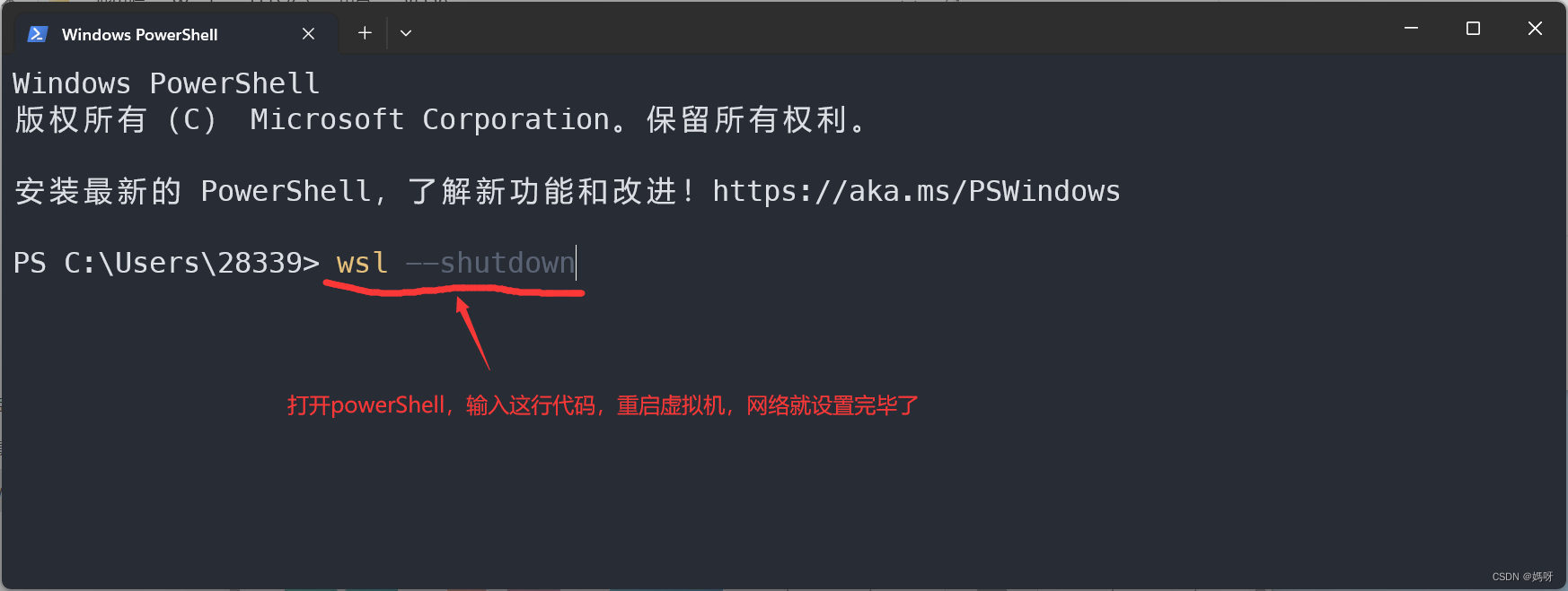 wsl2网络改桥接模式_wsl2 桥接网络-CSDN博客