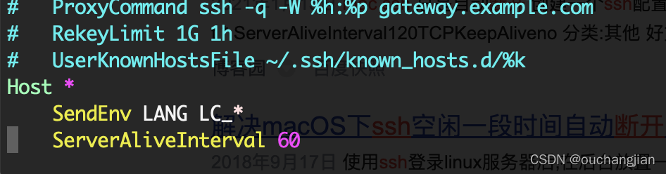 ServerAliveInterval