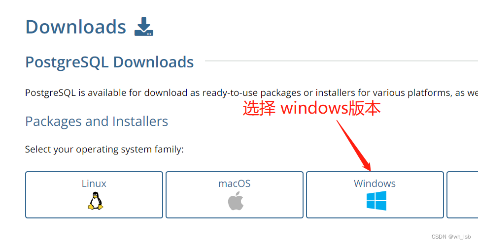 选择windows版本