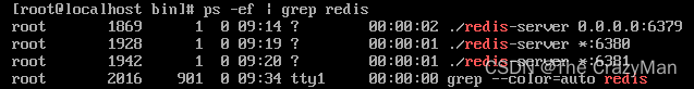 查看已运行的Redis